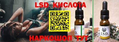 гашик Сланцы