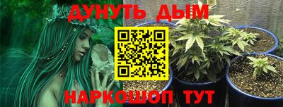прущие крисы Севастополь