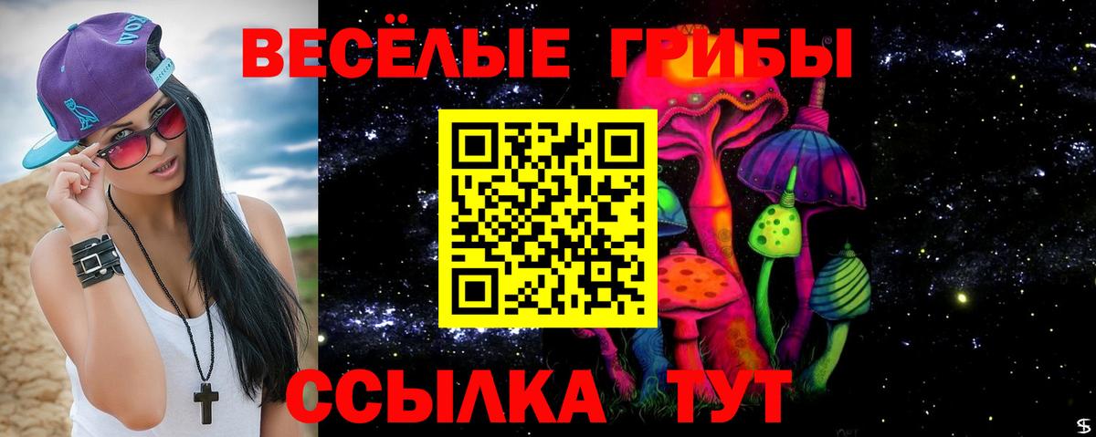 Галлюциногенные грибы Psilocybe  цена   Новокубанск  Вход с VPN 