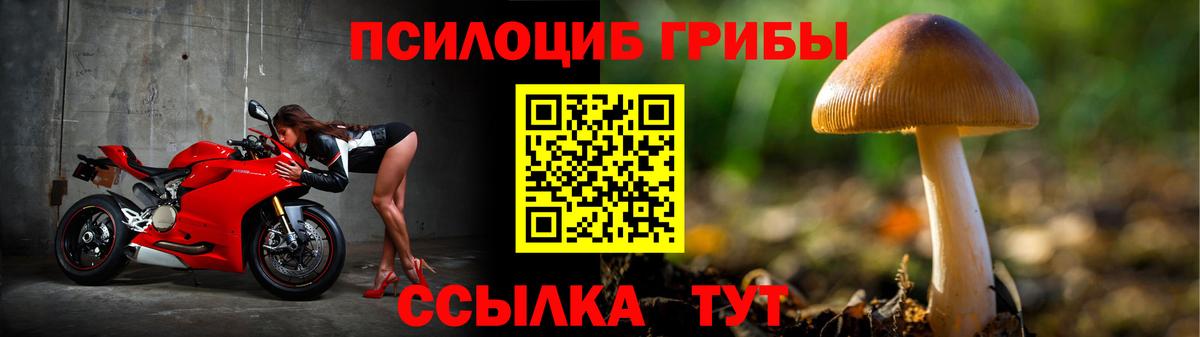 Галлюциногенные грибы прущие грибы Новокубанск